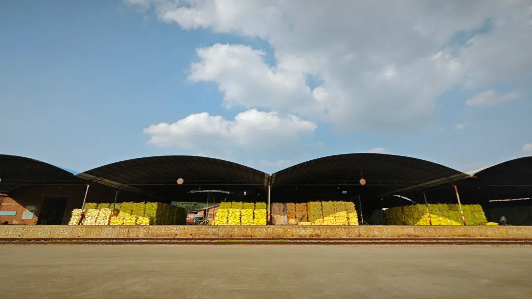 ��ʱ|AG(Asia Gaming)������Ӫ��