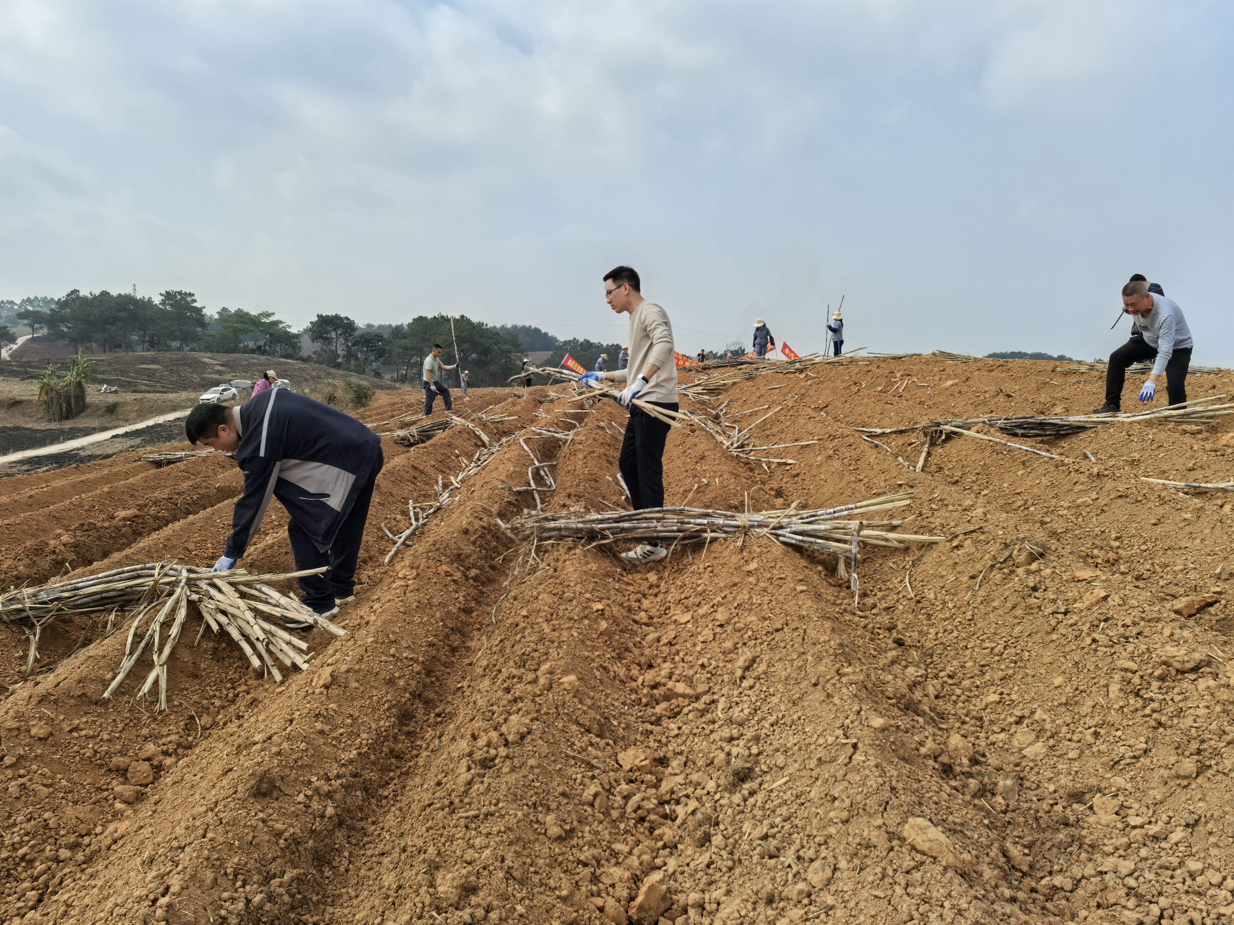 ��ʱ|AG(Asia Gaming)������Ӫ��